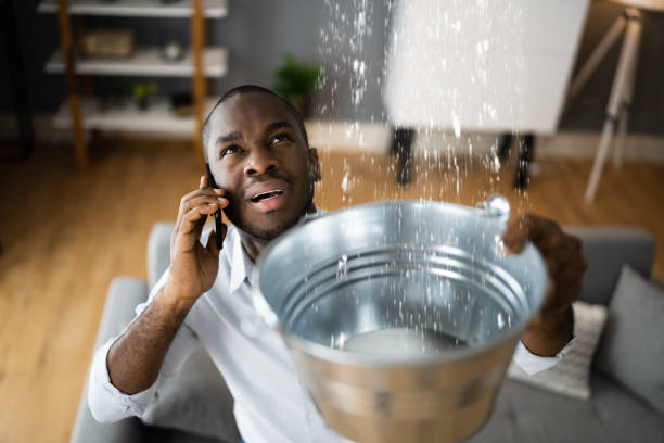 Best Residential water damage restoration  in Stamps, AR