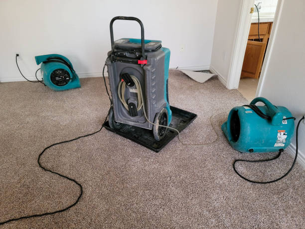 Best Water damage restoration near me  in Stamps, AR