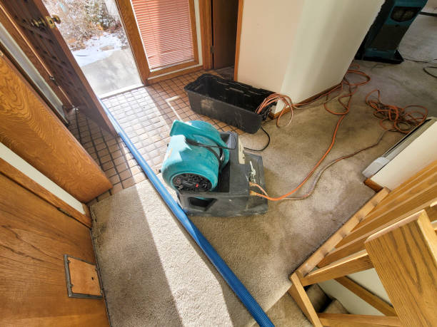 Trusted AR Water damage restoration Experts