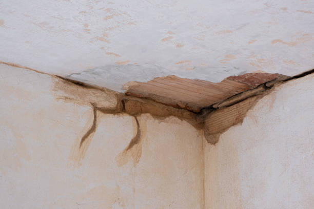 Best 24-hour water damage restoration  in Stamps, AR