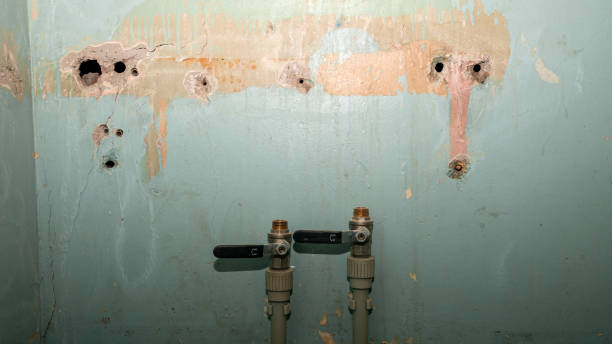 Best Professional water damage repair  in Stamps, AR
