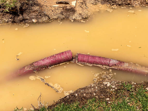 Best Residential water damage restoration  in Stamps, AR